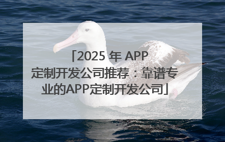 2025 年 APP 定制开发公司推荐：靠谱专业的APP定制开发公司