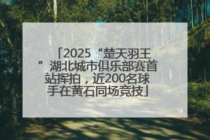 2025“楚天羽王”湖北城市俱乐部赛首站挥拍，近200名球手在黄石同场竞技
