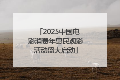 2025中国电影消费年惠民观影活动盛大启动