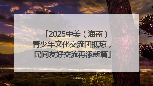 2025中美（海南）青少年文化交流团抵琼，民间友好交流再添新篇