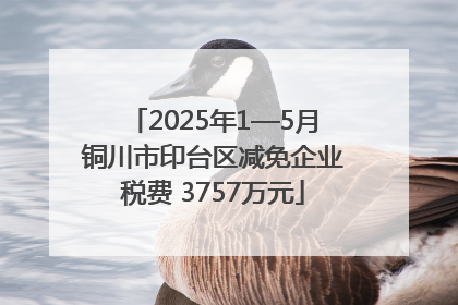 2025年1—5月铜川市印台区减免企业税费 3757万元