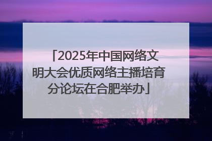2025年中国网络文明大会优质网络主播培育分论坛在合肥举办