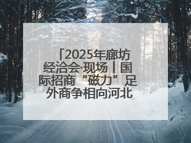 2025年廊坊经洽会·现场丨国际招商“磁力”足 外商争相向河北推介项目