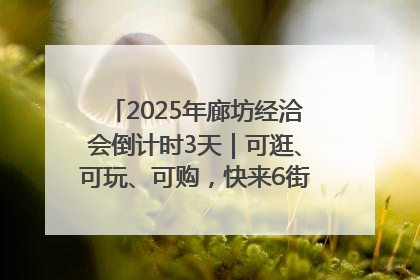 2025年廊坊经洽会倒计时3天｜可逛、可玩、可购，快来6街16巷逛市集