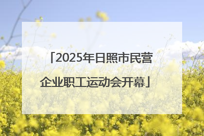 2025年日照市民营企业职工运动会开幕