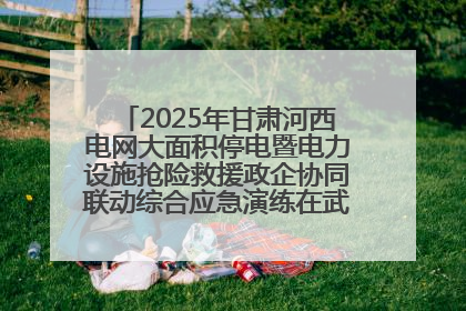 2025年甘肃河西电网大面积停电暨电力设施抢险救援政企协同联动综合应急演练在武威成功举行