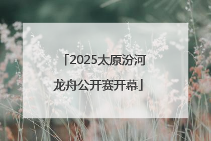 2025太原汾河龙舟公开赛开幕