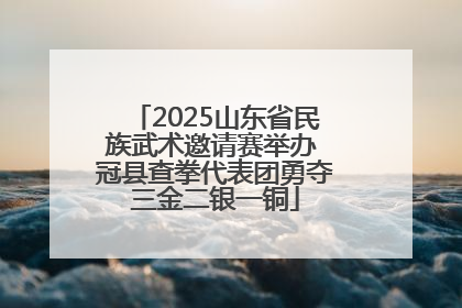 2025山东省民族武术邀请赛举办 冠县查拳代表团勇夺三金二银一铜