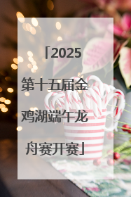 2025第十五届金鸡湖端午龙舟赛开赛