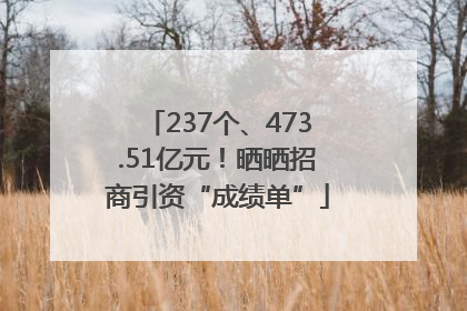 237个、473.51亿元！晒晒招商引资“成绩单”