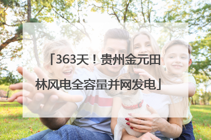 363天！贵州金元田林风电全容量并网发电