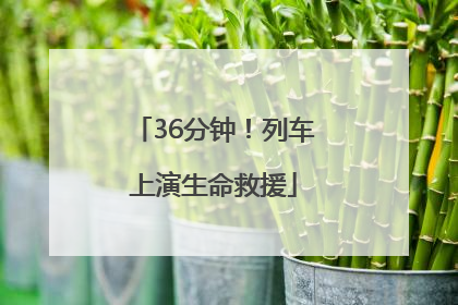 36分钟！列车上演生命救援