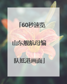 60秒速览山东舰航母编队抵港画面