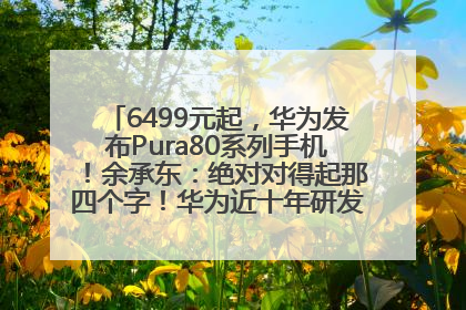 6499元起，华为发布Pura80系列手机！余承东：绝对对得起那四个字！华为近十年研发投入12490亿元