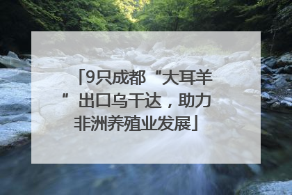 9只成都“大耳羊”出口乌干达，助力非洲养殖业发展