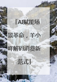 AI赋能场景革命，羊小咩解码消费新范式