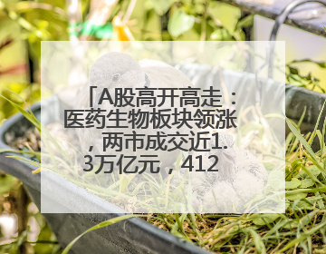 A股高开高走：医药生物板块领涨，两市成交近1.3万亿元，4120股收涨