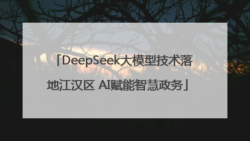 DeepSeek大模型技术落地江汉区 AI赋能智慧政务