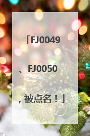 FJ0049、FJ0050，被点名！