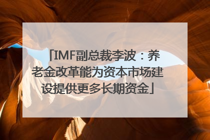 IMF副总裁李波：养老金改革能为资本市场建设提供更多长期资金