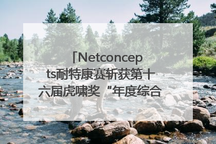 Netconcepts耐特康赛斩获第十六届虎啸奖“年度综合服务商”大奖