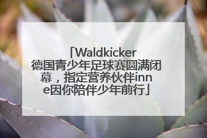Waldkicker德国青少年足球赛圆满闭幕，指定营养伙伴inne因你陪伴少年前行